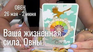 ОВЕН : Жизненная сила! | Неделя 26 мая - 2 июня 2025 таро прогноз