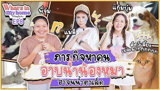 What’s in My Home อะไรอยู่ในบ้าน EP.8 แม่ลีโวยลั่นบ้าน กับภารกิจหาคนอาบน้ำน้องหมา ที่ฮาจนน้ำตาเล็ด!!