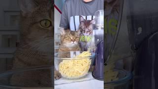 усовершенствованная школьная пицца в рулете #готовимдома #рецепты #готовка #food #еда #cooking