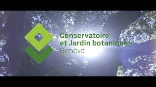 La Ville célèbre les 200 ans des Conservatoire et Jardin botaniques de Genève