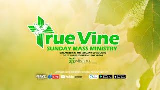 LIVE via Zoom: TRUE VINE SUNDAY MASS MINISTRY: BAPTISM OF THE LORD, JANUARY 12, 2025.