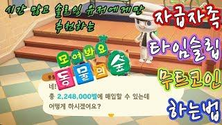 동물의숲 무트코인 온라인없이 혼자 손쉽게 성공 확률 올리는 방법 (Animal Crossing: New Horizons)