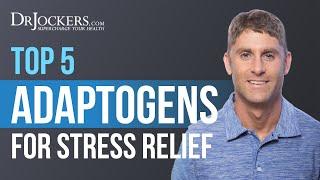 Top 5 Adaptogens For Stress Reduction