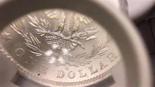 Check your Mint Marks ! - An 1881-O Morgan Dollar?