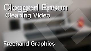 How to Clean a Severely Clogged Epson Print Head – Freehand Graphics™