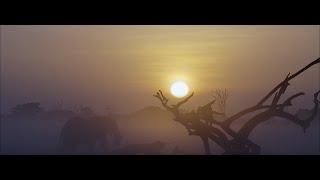 Wildscreen Festival Nairobi 2023 - Teaser Trailer