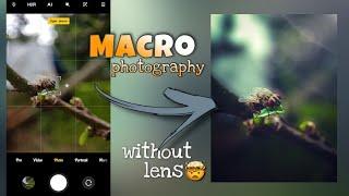 Amazing Mobile Macro Photo Editing | Mobile Macro Photography