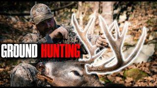 WHITETAIL HUNTING FROM THE GROUND - Spot and Stalk Bowhunting