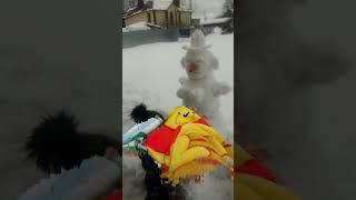 5 февраля 2024 г.