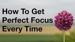 How To Get Perfect Focus On Your Camera Every Time