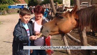 Соціальна адаптація