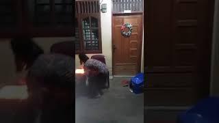 Acara Ulang Tahun  Terkecoh dan Terkekeh Di Thn 2019.Hembus Lilin nya tak mw mati 