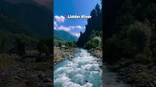  Lidder River, Pahalgam #kashmir #kashmir_lovers #lidder #lidderriver #pahalgam #travelkashmir