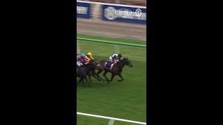 Mr Brightside with a stunning victory
