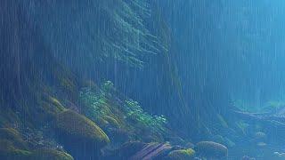 Rain Sounds in a Forest for Relaxation and Sleep