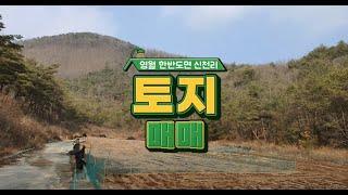 영월토지, 전과 임야