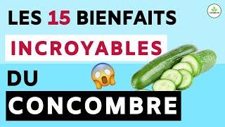 CONCOMBRE: SES 15 BIENFAITS ET VERTUS POUR LA SANTE