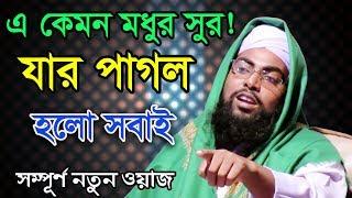 Bangla Waz 2017 এ কেমন মধুর সুর যার পাগল হলো সবাই  Maulana Tafazzal Hossain Raipuri