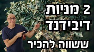 2 מניות דיבידנד יציבות  שכדאי להכניס לרשימת המעקב שלכם! 