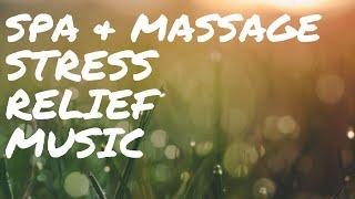 90 minutes of Amazing Massage & Spa Harp Music with Bird Sounds for Relaxation & Stress Relief. 10