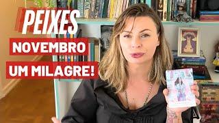 ️PEIXESNOVEMBROUM MILAGRE! UMA DECLARAÇÃO DE AMOR! UMA ENERGIA PODEROSA DE MANIFESTAÇÃO