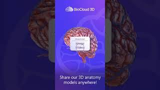 BioCloud 3D by Intervoke. #3danatomy #humananatomy