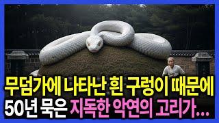 무덤가 텃밭에 나타난 흰 뱀을 구해줬더니 두 원수 집안에 기적같은 일이 벌어졌습니다 라디오극장