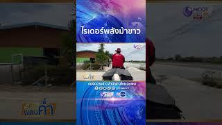 ฮือฮา! ไรเดอร์พลังม้าควบม้าขาวส่งพัสดุแบบชิลๆ ถูกอกถูกใจผู้รับ