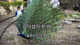 남이섬의 한  때 공작과