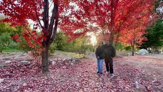 First Apple Picking and Autumn Experience  - Simple Pleasures, ang Saya-saya!