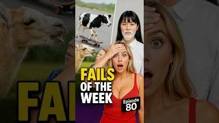 A Hilarious Kind Of Fail Memes Short #funny #funnyanimals #fails