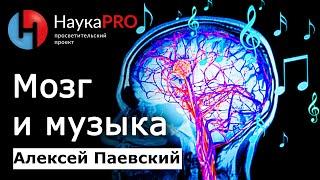 Мозг и музыка: как она влияет на нас | Последние данные – Алексей Паевский | Лекции по медицине