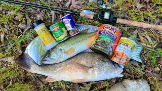 Eating Whatever We Catch on Our New Favorite Lake!