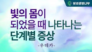 빛의 몸이 되었을때 나타나는 단계별 증상