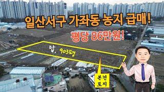 일산서구 가좌동 농림지역 투자가치 최고의 농지 급매