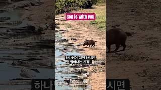 하나님이 함께 하시면 일어나는 기적