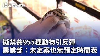 擬禁養955種動物引反彈 農業部：未定案也無預定時間表｜20250107 公視晚間新聞