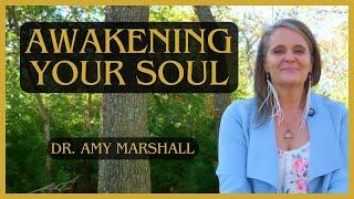 Awakening Your Soul w/ Dr. Amy Marshall | Ascend Podcast #27