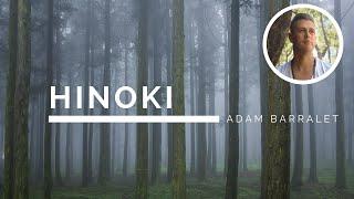 Hinoki - The Oil of Wise Words