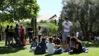 Student Support Centre of the University of Alicante