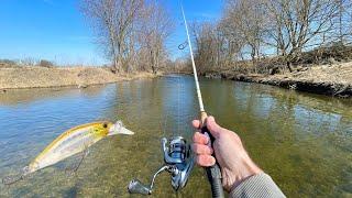 Creek Fishing for TROUT with Jerkbaits