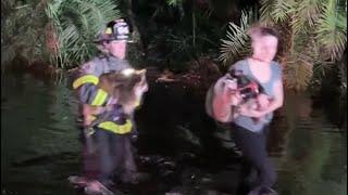 South Trail Fire battles against floodwaters to rescue 2 people and 5 dogs