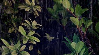 Fall Asleep Instantly With Relaxing Rain & Thunder Sounds