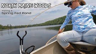 Come Catch Dinner with Me // Solo Fishing a Remote Native Brook Trout Pond // Northern Maine Woods