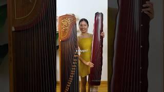 The Difference Between Guzheng and Guqin #guzheng #guqin #chinesemusic