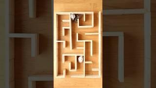 Hamster Maze Escape smart 