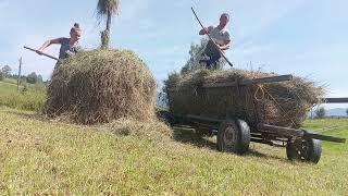 Difficult rural life in a high-mountain Ukrainian village of a young family