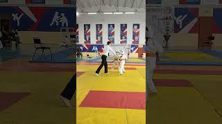 Финал Чемпионата Уральска по шинкиокушинкай каратэ 02.11.2024г. - чемпионка!!!