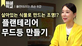 [#EBS평생학교] 8강 차분한 밤을 만들 무드등 만들기│이해솔의 난생처음 플랜테리어