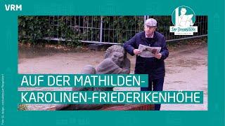 Der Breeweldibbe auf der Mathilden-Karolinen-Friederikenhöhe